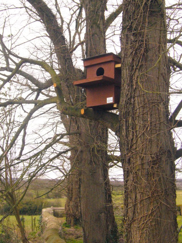 Installing the Owl Box